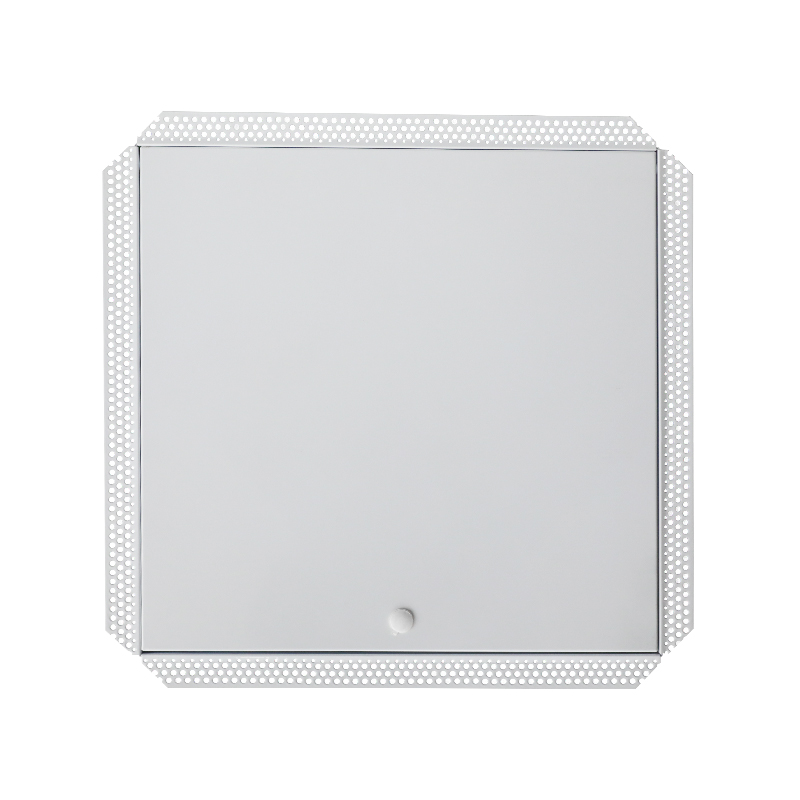 SS-AP251 강철 점검판